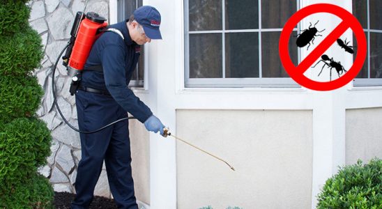 Çandır Böcek İlaçlama böcek ilaçlama ve haşere kontrolü — ilaclama-tr.com